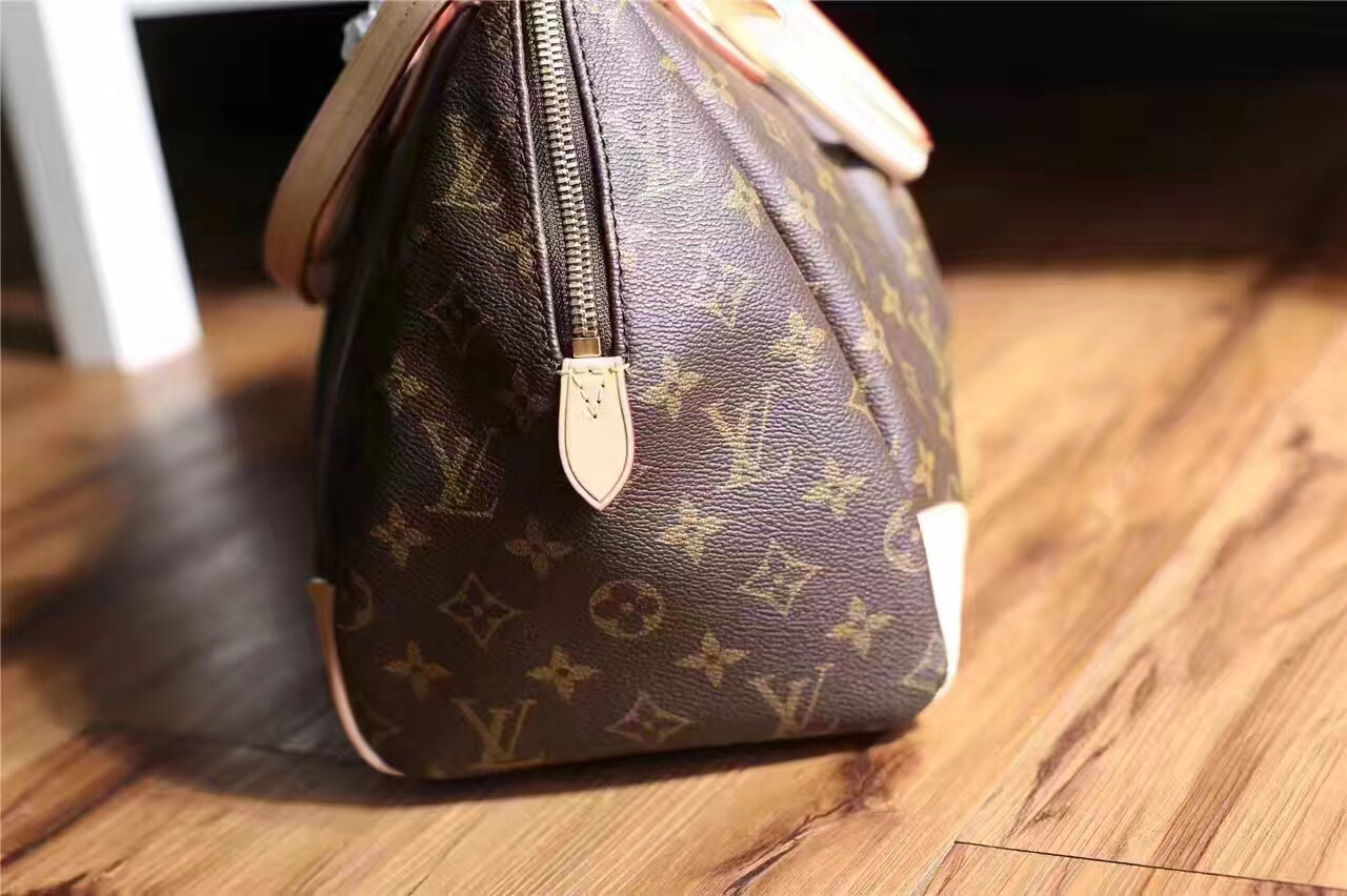 Louis Vuitton Monogram Canvas Segur Bag M41632