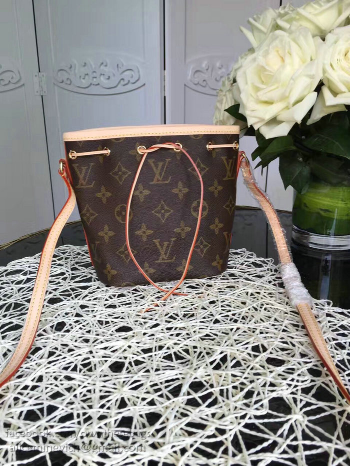 Louis Vuitton Monogram Canvas Nano Noe M41346