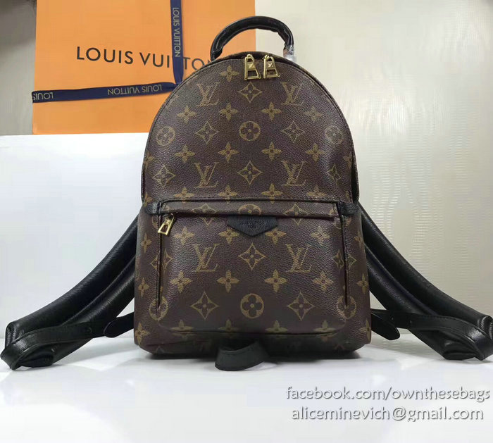 Louis Vuitton Monogram Canvas Palm Springs Backpack PM M41560