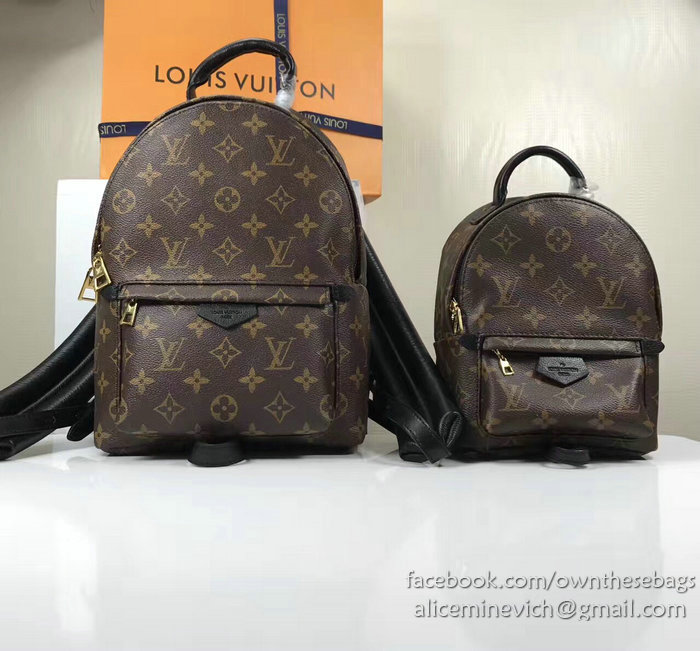 Louis Vuitton Monogram Canvas Palm Springs Backpack PM M41560