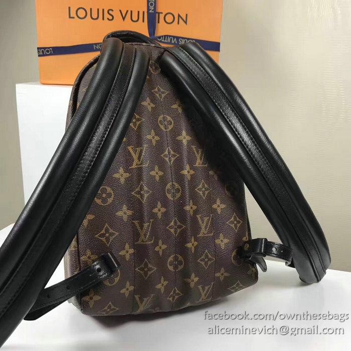 Louis Vuitton Monogram Canvas Palm Springs Backpack PM M41560