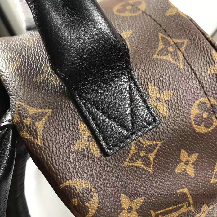 Louis Vuitton Monogram Canvas Palm Springs Backpack PM M41560