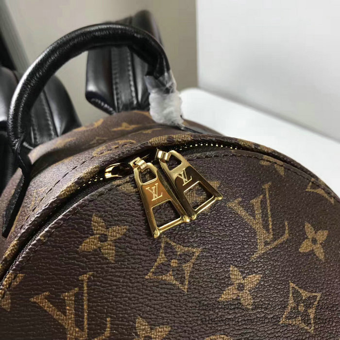 Louis Vuitton Monogram Canvas Palm Springs Backpack PM M41560