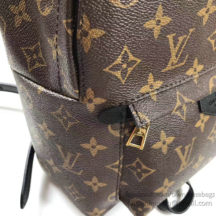 Louis Vuitton Monogram Canvas Palm Springs Backpack PM M41560