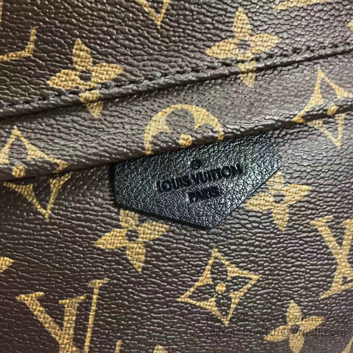 Louis Vuitton Monogram Canvas Palm Springs Backpack PM M41560