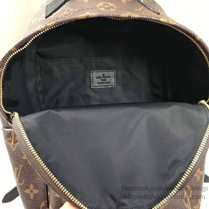 Louis Vuitton Monogram Canvas Palm Springs Backpack PM M41560