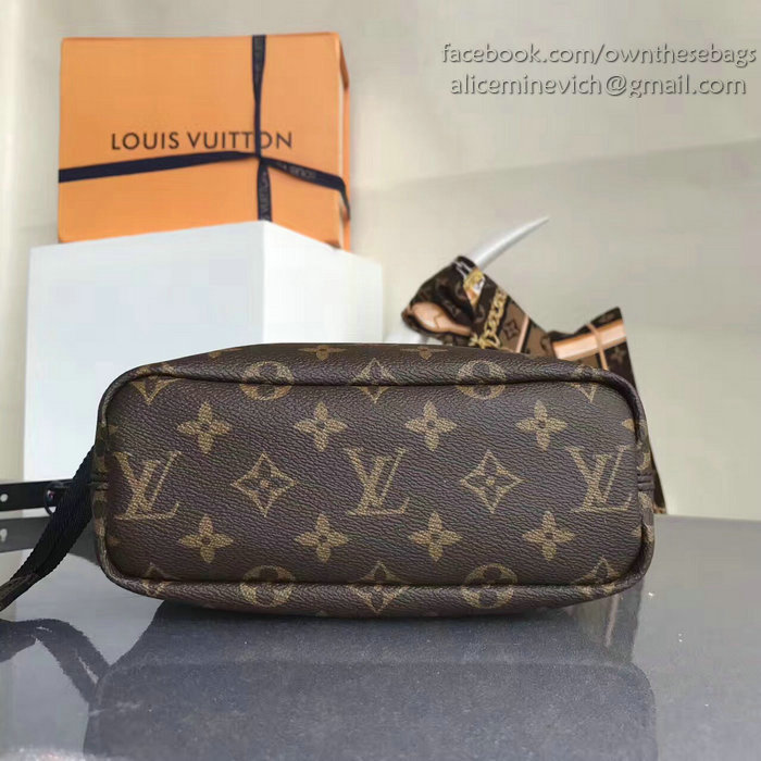 Louis Vuitton Monogram Canvas Nano Bag M43418