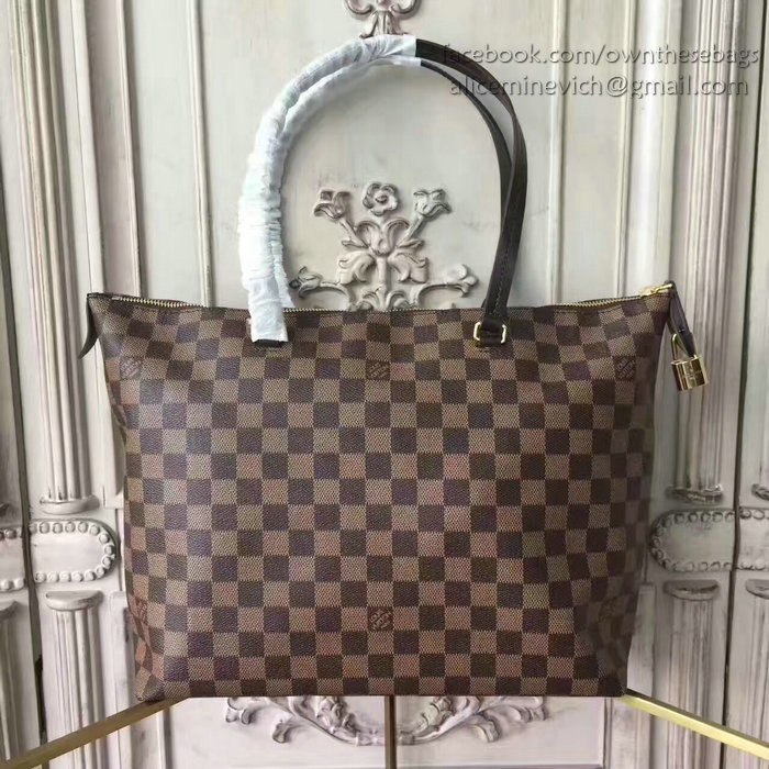 Louis Vuitton Damier Ebene Canvas Iena MM N44040