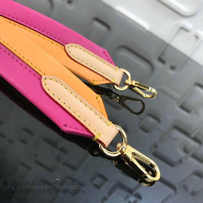 Louis Vuitton Multicolor Leather Shoulder Strap J02287