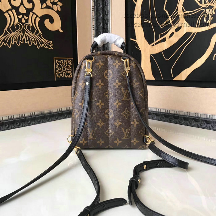 Louis Vuitton Palm Springs Backpack Mini M41562