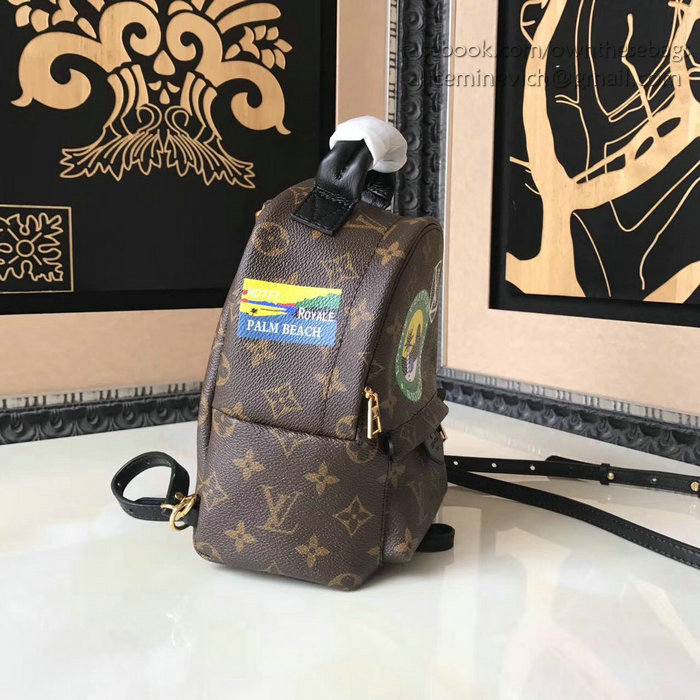 Louis Vuitton Palm Springs Backpack Mini M41562