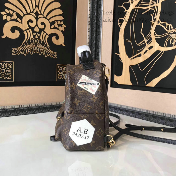 Louis Vuitton Palm Springs Backpack Mini M41562