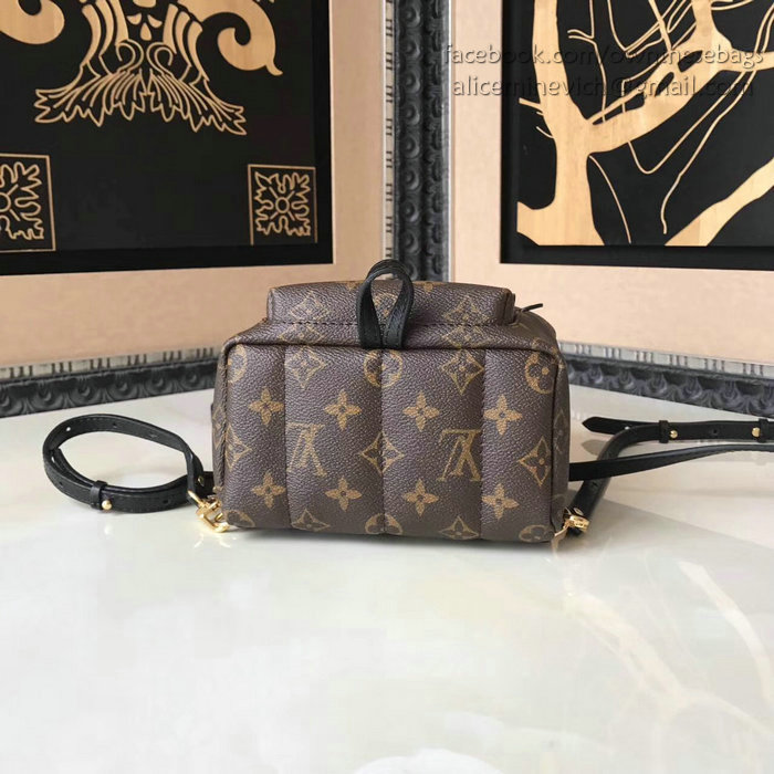 Louis Vuitton Palm Springs Backpack Mini M41562