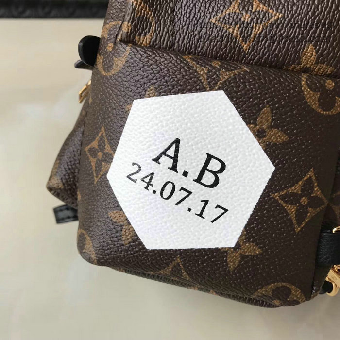 Louis Vuitton Palm Springs Backpack Mini M41562