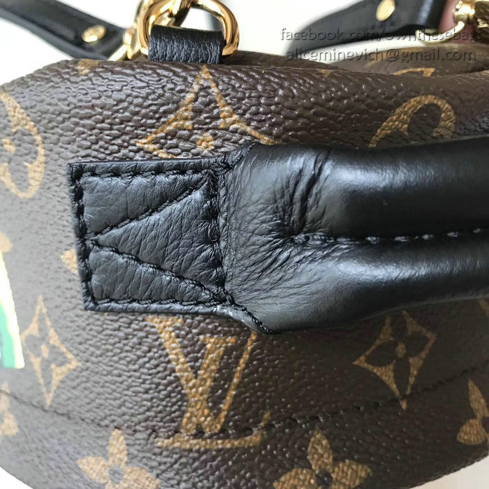 Louis Vuitton Palm Springs Backpack Mini M41562