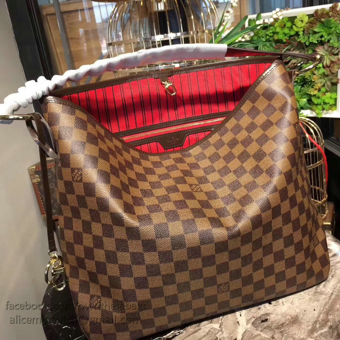 Louis Vuitton Damier Ebene Canvas Delightful MM N41460