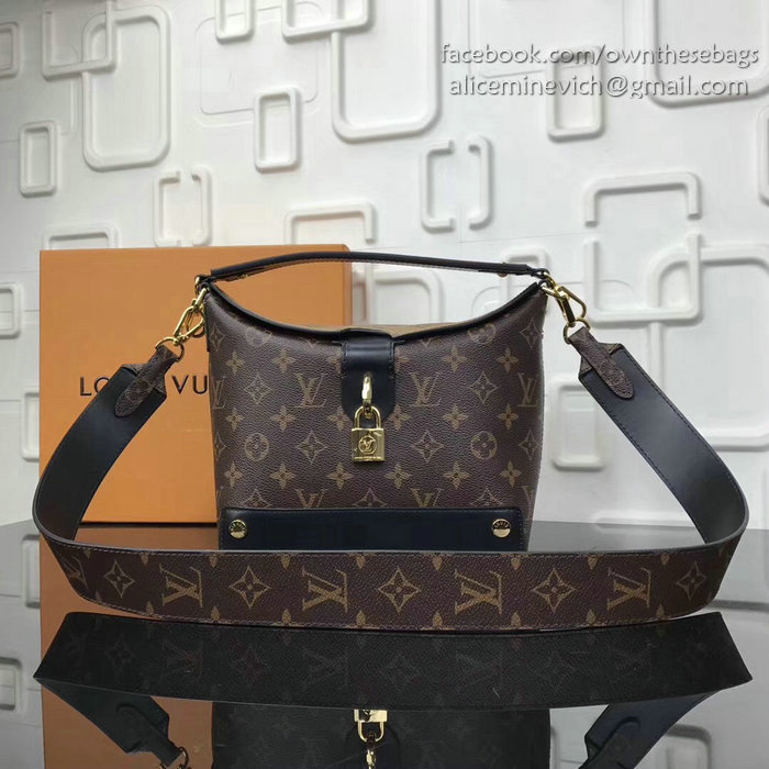 Louis Vuitton Monogram Canvas Bucket Bag M51179