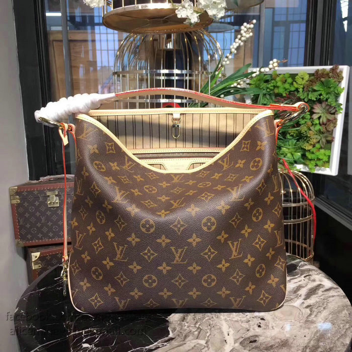 Louis Vuitton Monogram Canvas Delightful PM M50154