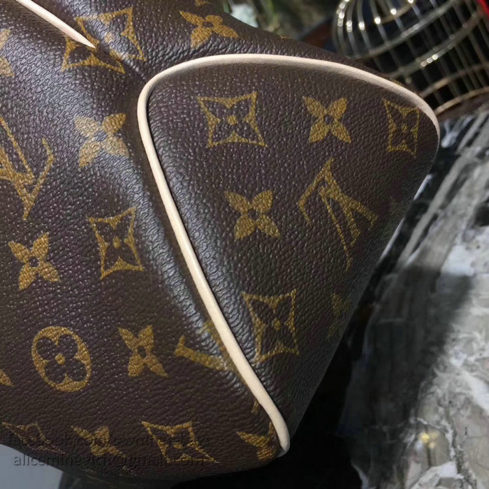 Louis Vuitton Monogram Canvas Delightful PM M50154