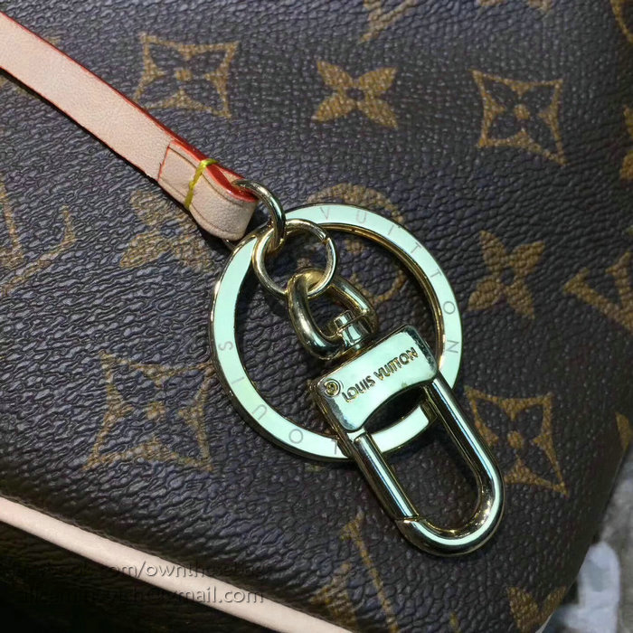 Louis Vuitton Monogram Canvas Delightful PM M50154