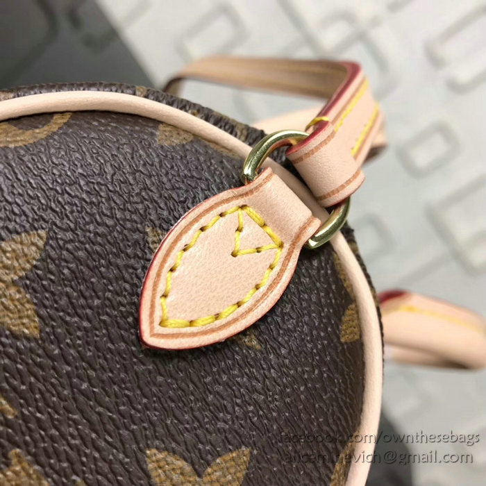 Louis Vuitton Dog Print Nano Speedy M61252