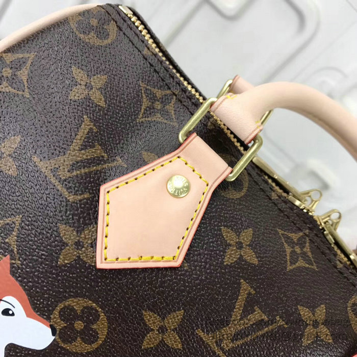 Louis Vuitton Dog Print Speedy Bandouliere 25 M41113