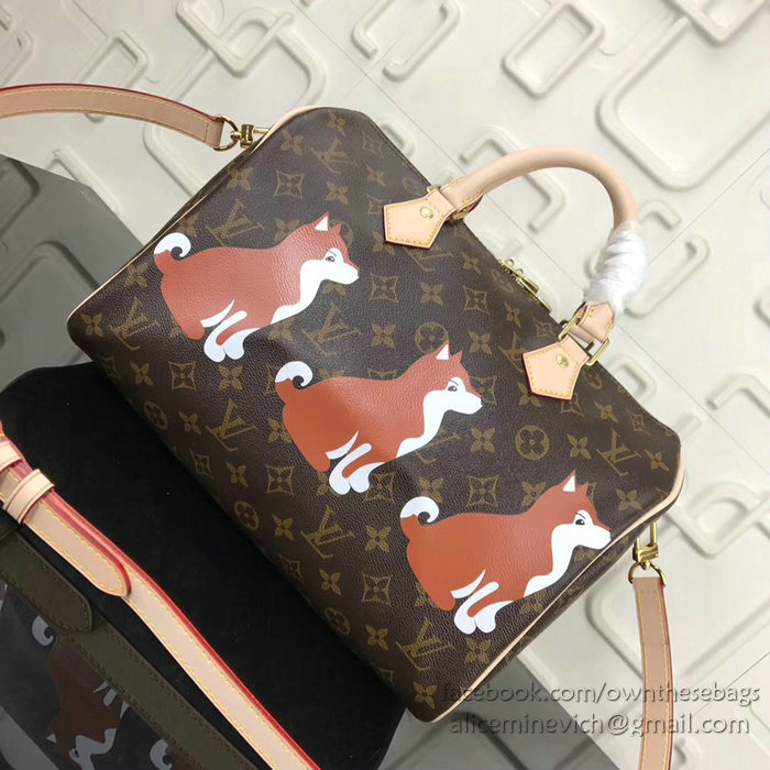 Louis Vuitton Dog Print Speedy Bandouliere 30 M41112