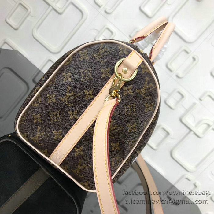 Louis Vuitton Dog Print Speedy Bandouliere 30 M41112