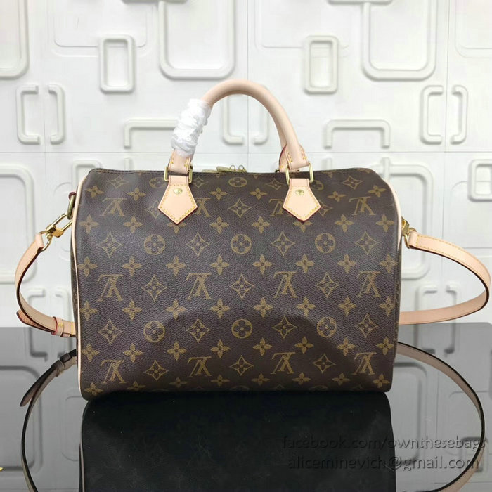 Louis Vuitton Dog Print Speedy Bandouliere 30 M41112