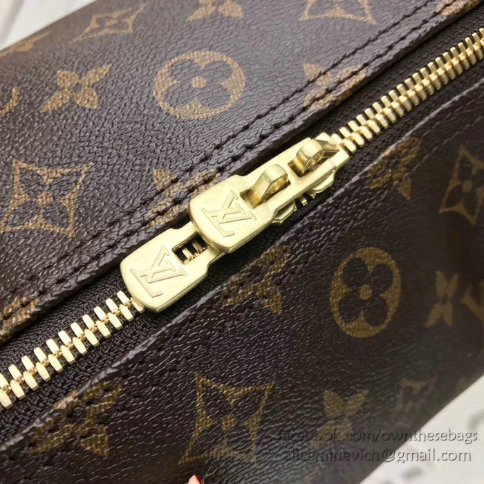 Louis Vuitton Dog Print Speedy Bandouliere 30 M41112