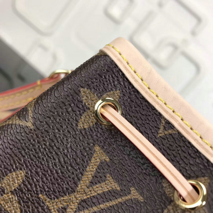 Louis Vuitton Dog Print Nano Noe M41346