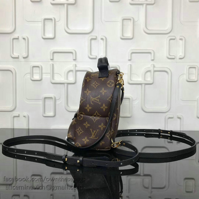 Louis Vuitton Family Print Palm Springs Backpack Mini M41562