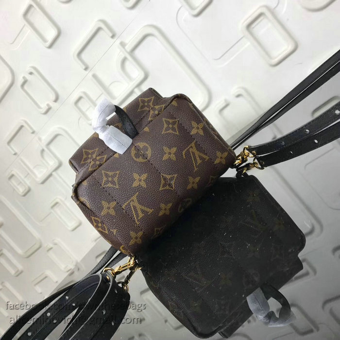 Louis Vuitton Family Print Palm Springs Backpack Mini M41562