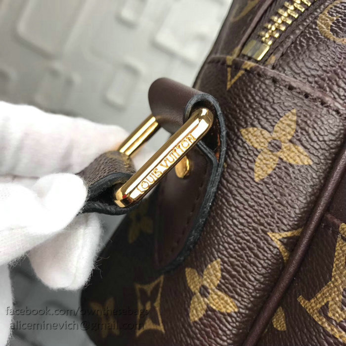 Louis Vuitton Monogram Canvas Nil PM Coffee M95607