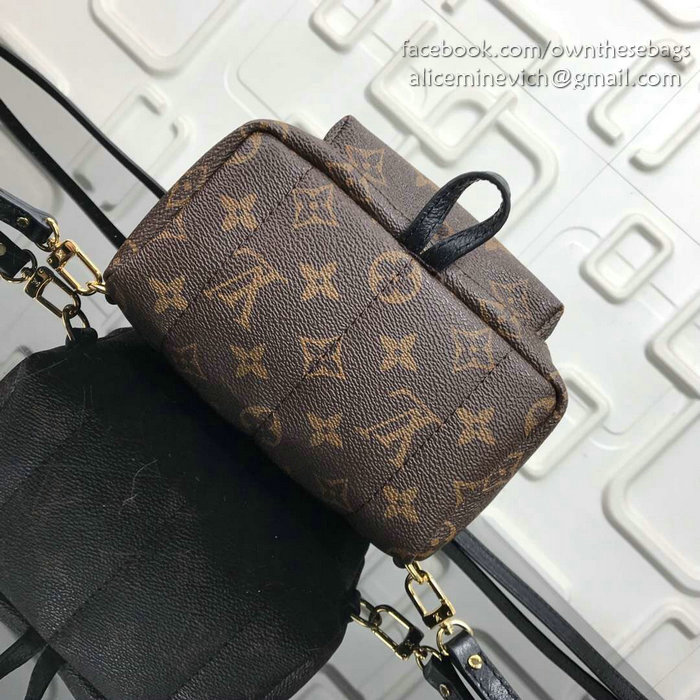 Louis Vuitton Dog Print Palm Springs Backpack Mini M41562