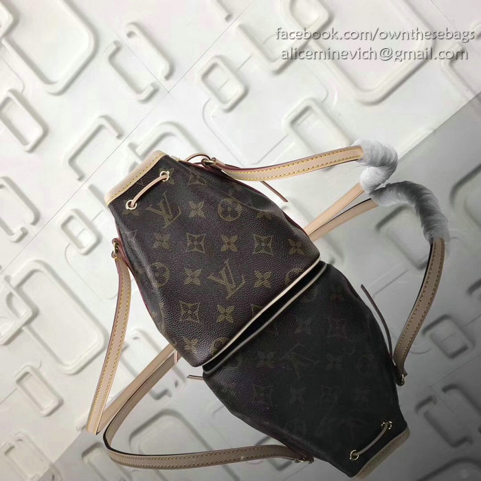 Louis Vuitton Family Print Nano Noe M41346