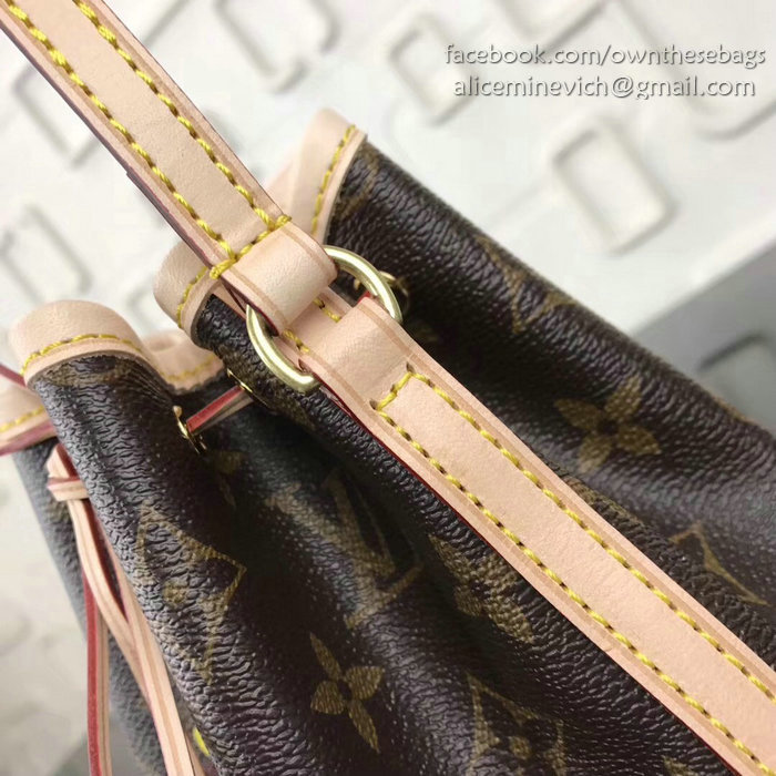 Louis Vuitton Family Print Nano Noe M41346