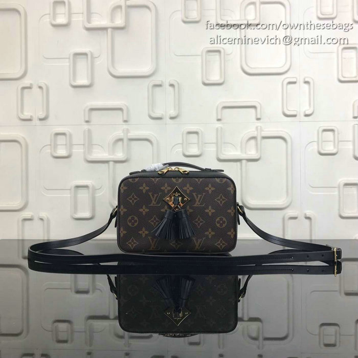 Louis Vuitton Monogram Canvas Camera Case Bag Black M44258