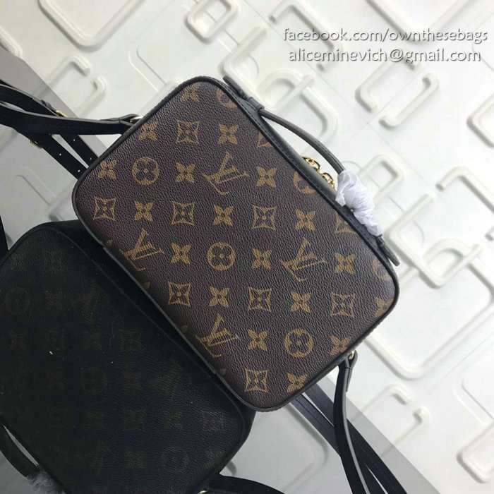 Louis Vuitton Monogram Canvas Camera Case Bag Black M44258