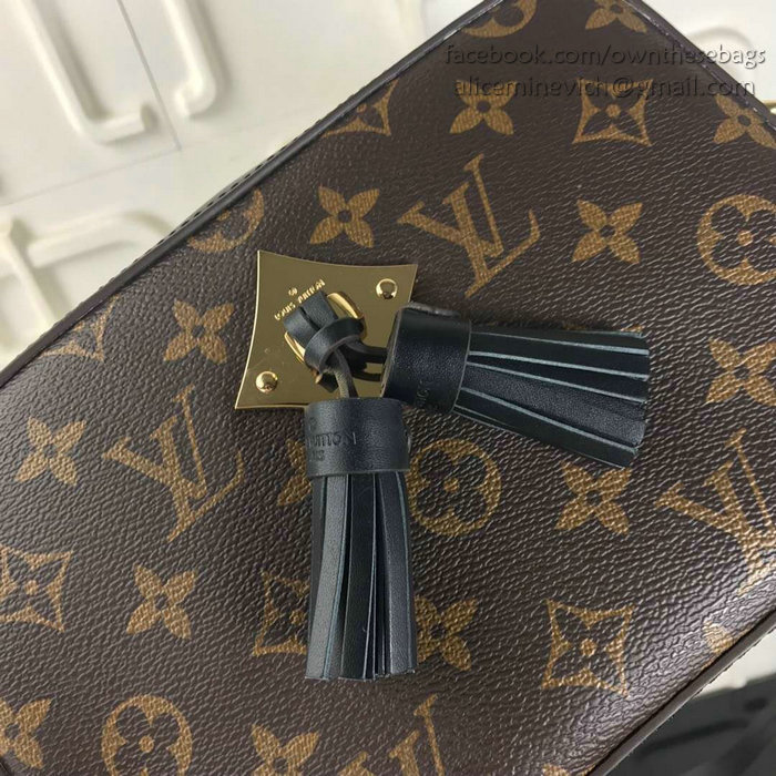 Louis Vuitton Monogram Canvas Camera Case Bag Black M44258