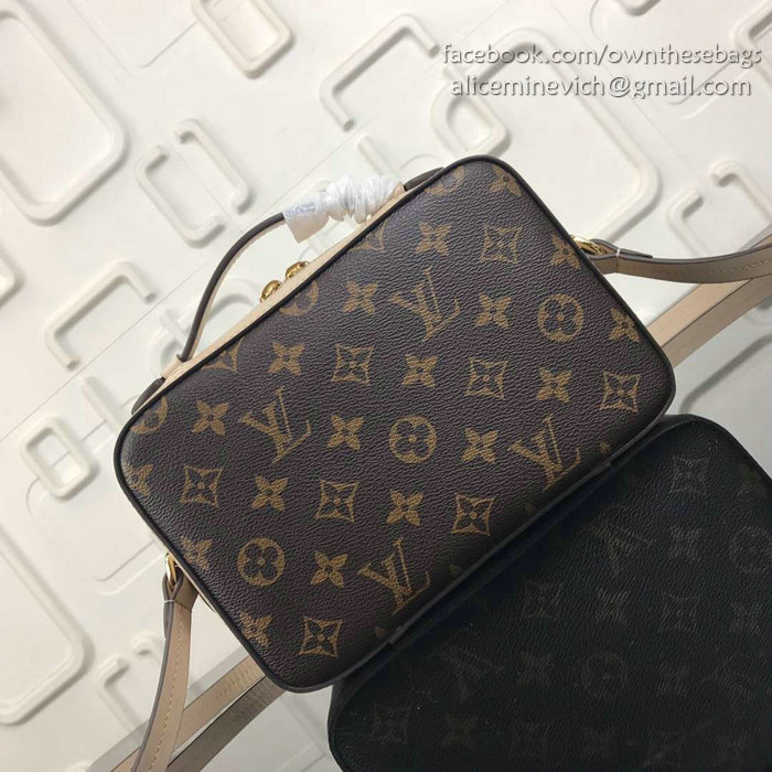 Louis Vuitton Monogram Canvas Camera Case Bag Grey M44258