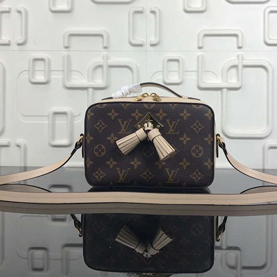 Louis Vuitton Monogram Canvas Camera Case Bag Grey M44258