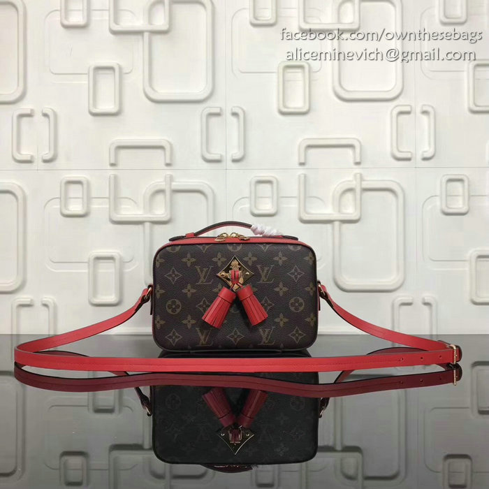 Louis Vuitton Monogram Canvas Camera Case Bag Red M44258