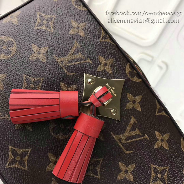 Louis Vuitton Monogram Canvas Camera Case Bag Red M44258