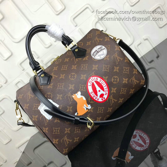 Louis Vuitton Speedy Bandouliere 30 M41112