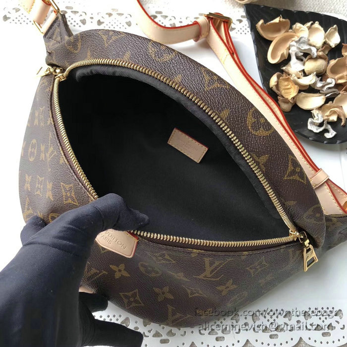 Louis Vuitton Monogram Canvas Bumbag M43644