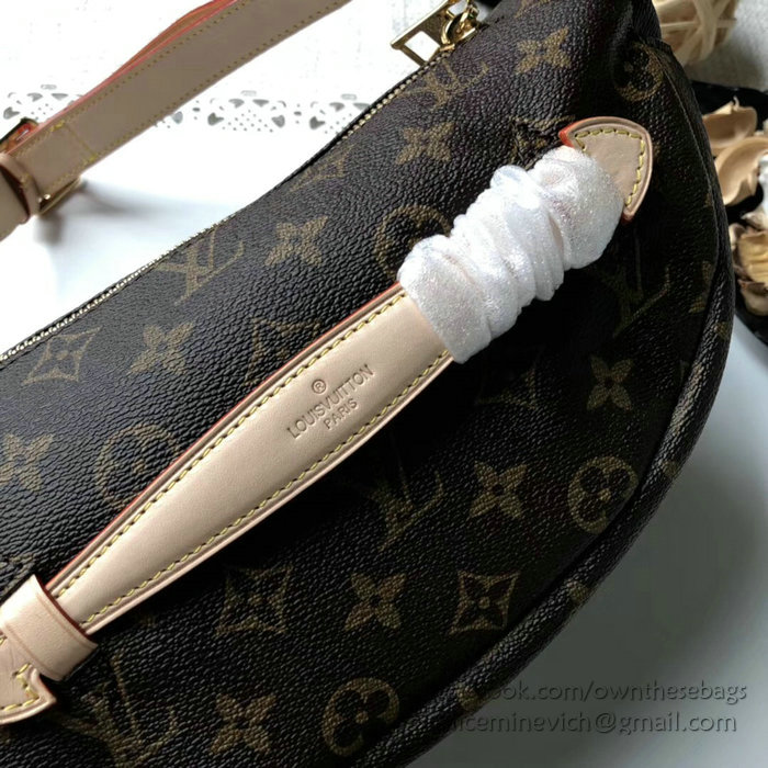 Louis Vuitton Monogram Canvas Bumbag M43644