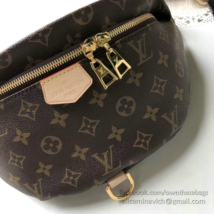 Louis Vuitton Monogram Canvas Bumbag M43644