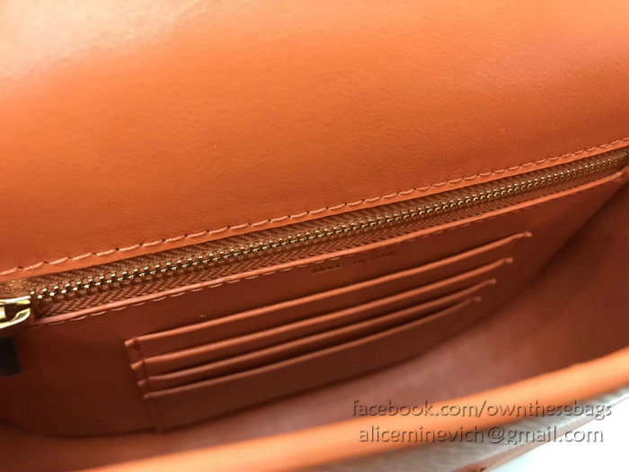 Celine Small Trotteur Bag in Grained Calfskin Orange CL30038