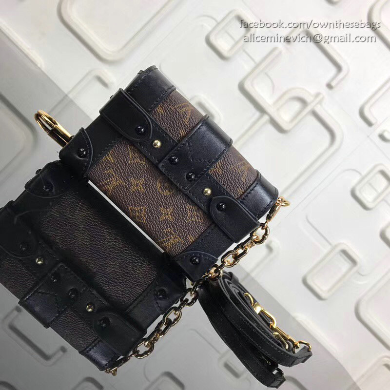 Louis Vuitton Monogram Canvas Essential Trunk M62553